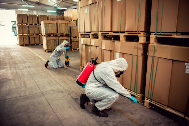 Professional Pest Control in Winslow, AZ