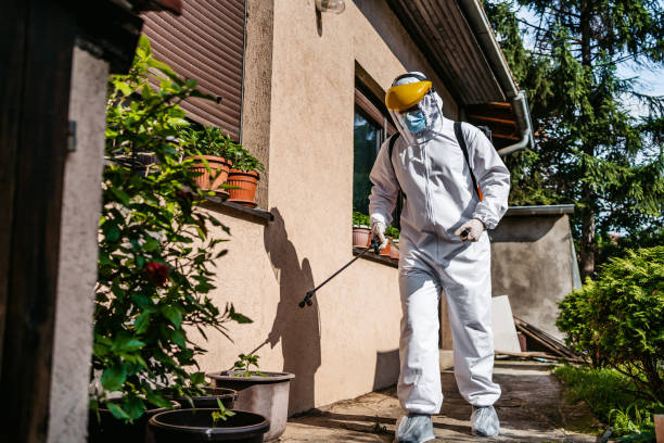 Wildlife Control Services in Winslow, AZ