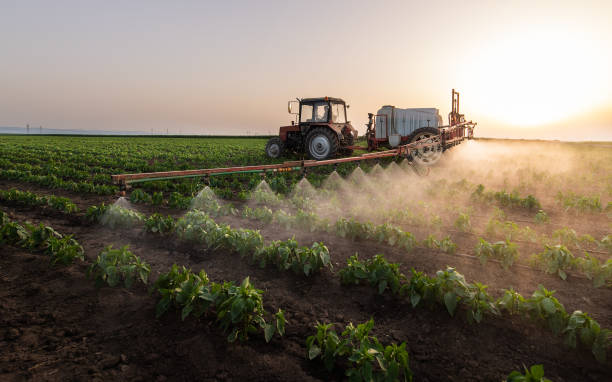 Best Commercial Pest Control Services  in Winslow, AZ