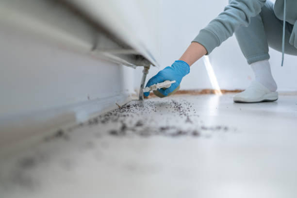 Wildlife Control Services in Winslow, AZ